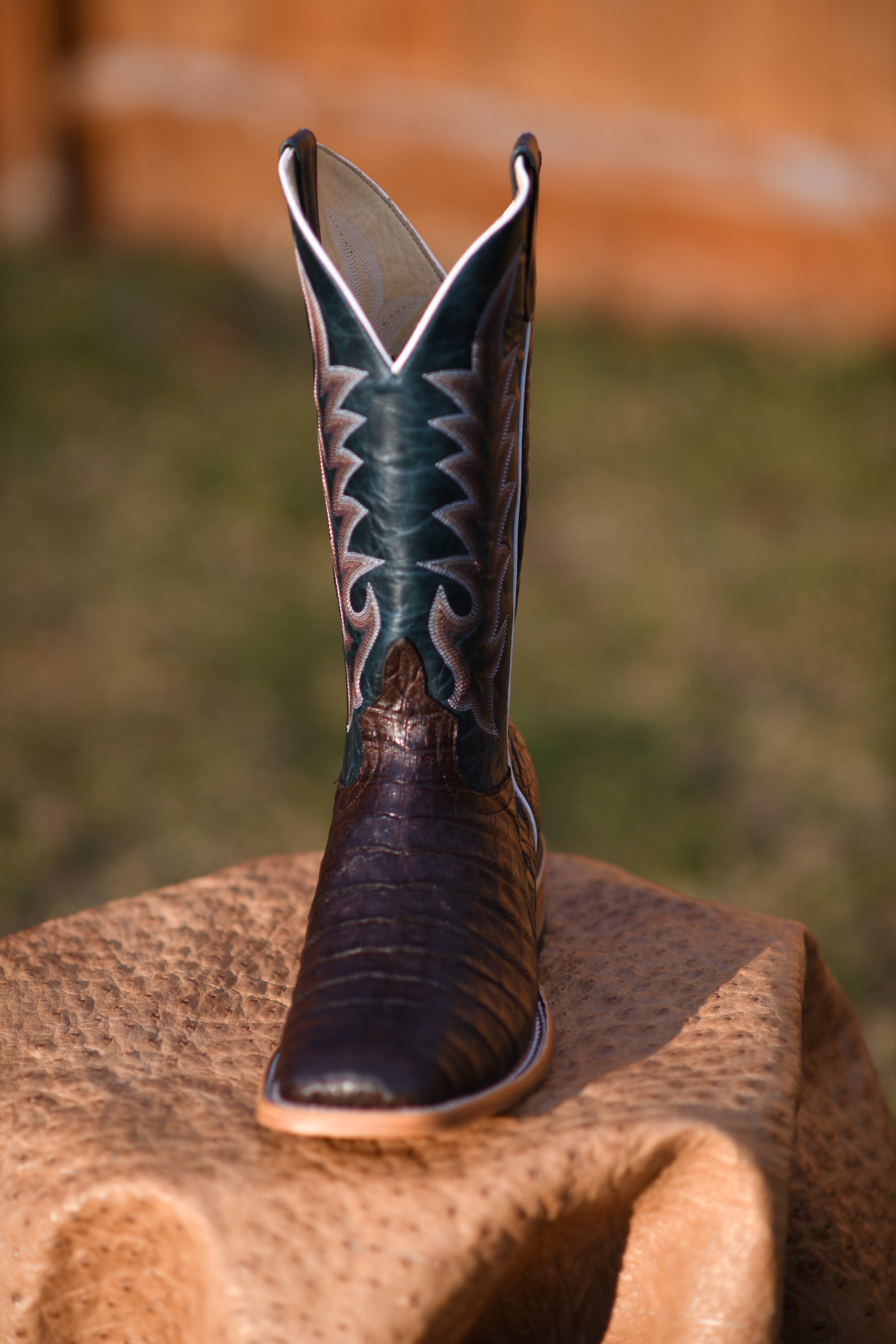 Top Hand Horse Power | Chocolate Caiman Belly Cowboy Boots